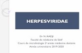 HERPESVIRIDAE - fmedecine.univ-setif.dz