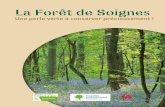 1 — La Forêt de Soignes