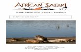 Raid- Safari 4X4 Kenya - Tanzanie - amonzevo