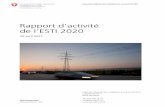 Rapport d’activité de l’ESTI 2020