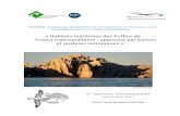 « Habitats maritimes des Puffins de France métropolitaine ...