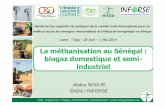 La méthanisation au Sénégal : biogaz domestique et semi ...