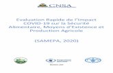 Evaluation Rapide de l’Impact COVID-19 sur la Sécurité ...
