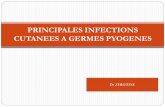 PRINCIPALES INFECTIONS CUTANEES A GERMES PYOGENES