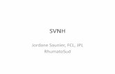 SVNH - orthopedie-lyon.fr