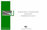 RAPPORT FINANCIER ANNUEL EXERCICE 2017