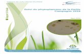 Rapport d’étude Suivi du phytoplancton de la Deûle ...