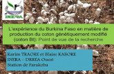L’expérience du Burkina Faso en matière de