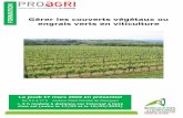 Gérer les couverts végétaux ou engrais verts en viticulture