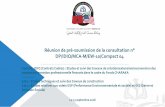 Réunion de pré-soumission de la consultation n° DP/IDIQ ...