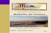 Site internet : multiphonie
