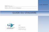 GUIDE DU STAGIAIRE - ifsi.ch-montlucon.fr