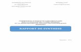RAPPORT DE SYNTHESE - ASSEMBLEE NATIONALE