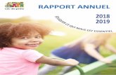 2019 08 13 Rapport annuel 20182019 - gw.micro-acces.com