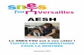 AESH - versailles.snes.edu