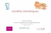 Sandrine Marlin - Surdité Génétiques Conférence 17-10-19 INJS