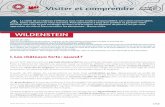 WILDENSTEIN - chateauxfortsalsace.com