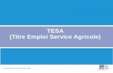 TESA (Titre Emploi Service Agricole)