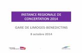 INSTANCE REGIONALE DE CONCERTATION 2014