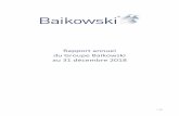 Rapport annuel du Groupe Baikowski au 31 décembre 2018