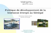 Politique de développement de la biomasse énergie au Sénégal
