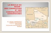 LA BOUCLE DU NIGER : DES CONNEXIONS ET DES …