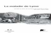 La maladie de Lyme - santepubliquefrance.fr