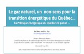 Le gaz naturel, un non-sens pour la transition énergétique ...