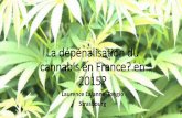 La dépénalisation du cannabis en France en 2015?