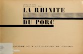 PUBLICATION 1085 LA RIIUHI - Archive
