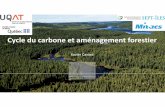 Cycle du carbone et aménagement forestier