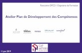 Plan de développement des compétences - cap-metiers.pro