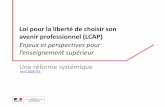 Loi pour la liberté de choisir son avenir professionnel (LCAP)