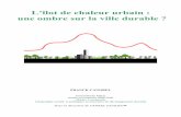L’îlot de chaleur urbain : une ombre sur la ville durable