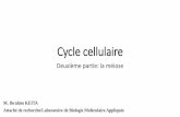 Cycle cellulaire - fmos.usttb.edu.ml