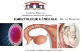 Département de Chirurgie Dentaire embryologie générale R ...