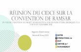 Réunion du CIDCE sur la Convention de Ramsar