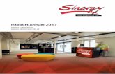 Rapport annuel 2017 - Sinergy