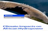 Climate Impacts on African Hydropower