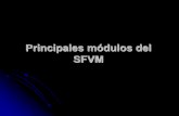 Principales modulos del SFVM