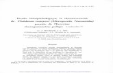 Etudes histopathologique et ultrastructurale de Thelohania ...