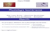 B2-Physiologie Bacterienne Diapos