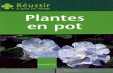 Plantes en Pot 49p