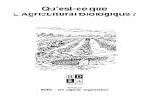 Agriculture Biologique 1