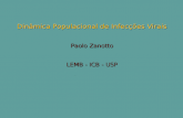 Din¢mica Populacional de Infec§µes Virais Paolo Zanotto LEMB - ICB - USP