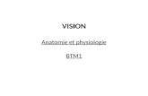 VISION Anatomie et physiologie BTM1 Anatomie