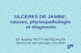 ULCERES DE JAMBE: causes, physiopathologie et diagnostic Dr Audrey PETIT-MITSCHLER Service de dermatologie, COLMAR
