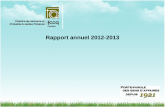 Rapport annuel 2012-2013. P ARTENAIRES FINANCIERS ET PARTENAIRES D ACTIVIT‰S