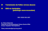 Transmission de linflux nerveux (bases) Transmission de linflux nerveux (bases) EMG en r©animation EMG en r©animation (pathologie neuro-musculaire) DES