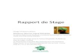 Rapport de Stage - afah. et comm_fichiers/rapport de Stage Marina 2014.pdf  Rapport de Stage Stage